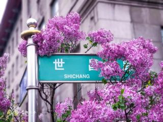 若需了解「开元549棋app下载与维
