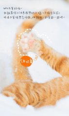 若从搜索引擎进入
