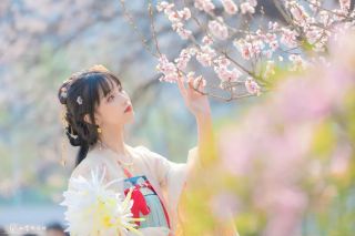 同题参见