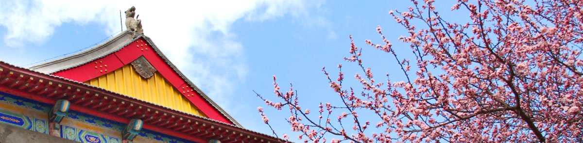 同题参见